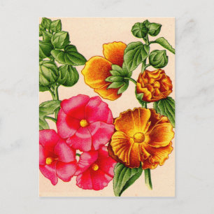 roze en gele hollyhocgroepen briefkaart