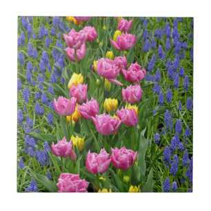 Roze en gele lentuslippen tegeltje