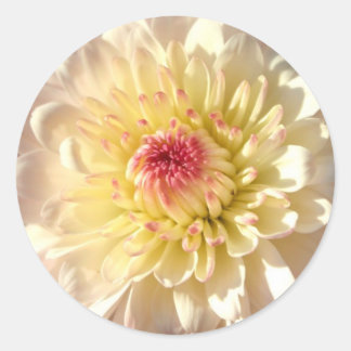 Roze en gele moeder ronde sticker