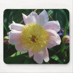 Roze en Gele Pioenen Mooie Bloemen Muismat