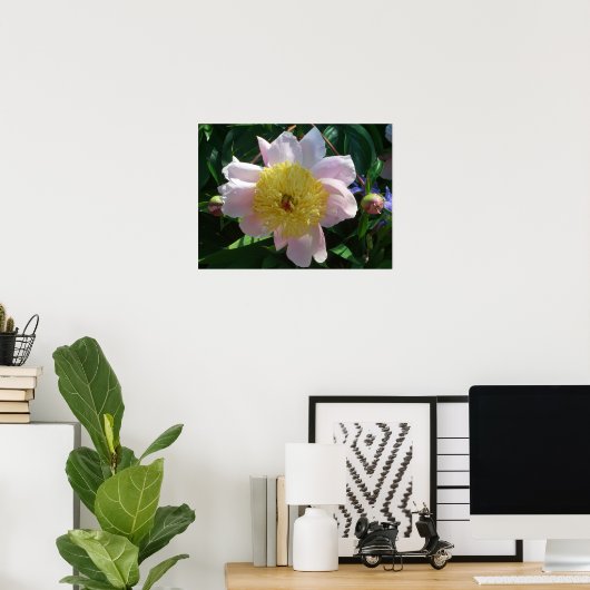 Roze en Gele Pioenen Mooie Bloemen Poster (Thuiskantoor)