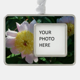 Roze en Gele Pioenen Mooie Bloemen Verzilverd Kader Ornament