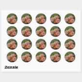Roze en gele rozen ronde sticker (Vel)