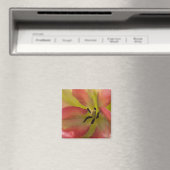 Roze en gele Tulp Magnet Magneet (Insitu (Vaatwasser))