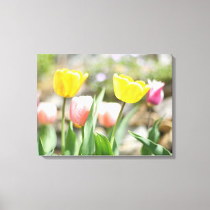 Roze en gele Tulpen Canvas Afdruk