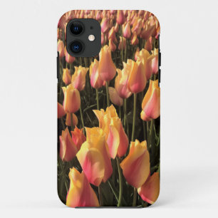 roze en gele tulpen iPhone 11 hoesje