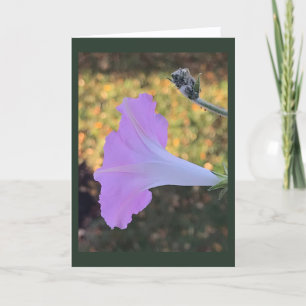 Roze en gouden glans Morning Glory blanco Kaart