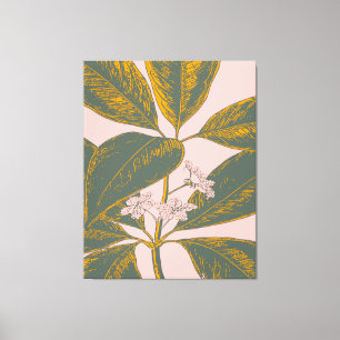 Roze en groene palmrond Botanische tekening Canvas Afdruk