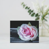 Roze en groene rozen kaart (Staand voorkant)