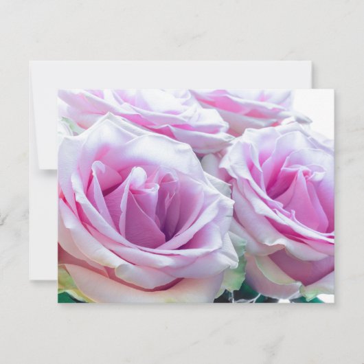 Roze en groene rozen kaart (Voorkant)