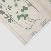 Roze en Groene Wildflower Tissuepapier (Detail)