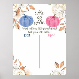 Roze en marineblauwe stemboard voor geslacht onthu poster