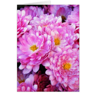 "Roze en Mums"