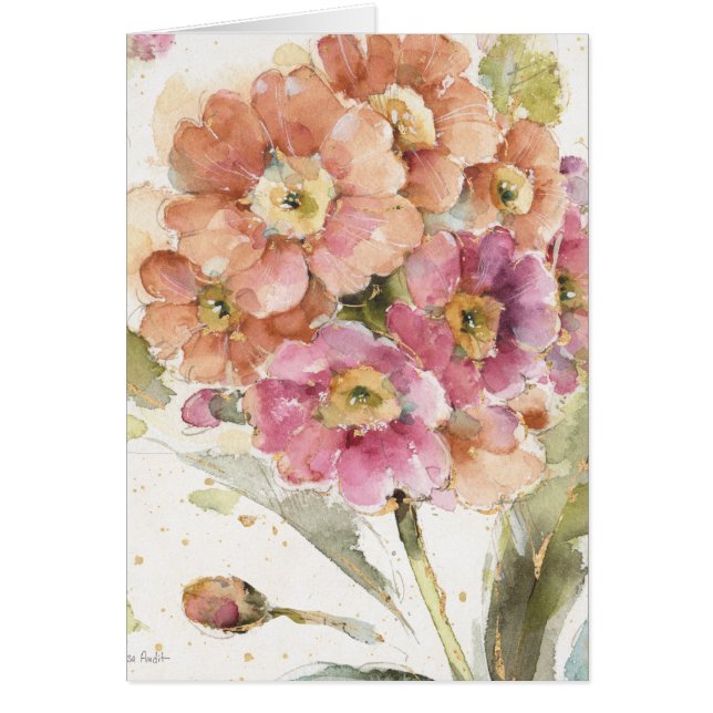 Roze en Oranje primrose (Voorkant)