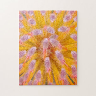 Roze en Oranje speldenkussen Proteaceae Legpuzzel