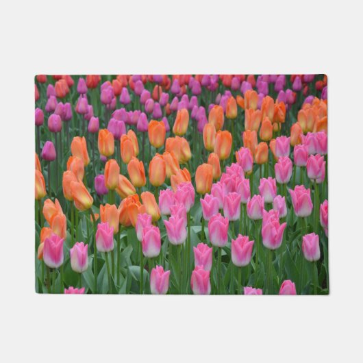 Roze en oranje veertulpen deurmat (Voorkant)