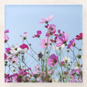 Roze en paarse bloemenweide foto glazen onderzetter