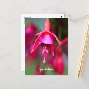 Roze en paarse Fuchsia-ansichtkaart Briefkaart