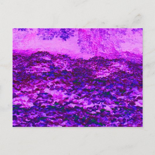 Roze en Paarse Kudzu-wijnstokken Briefkaart (Voorkant)