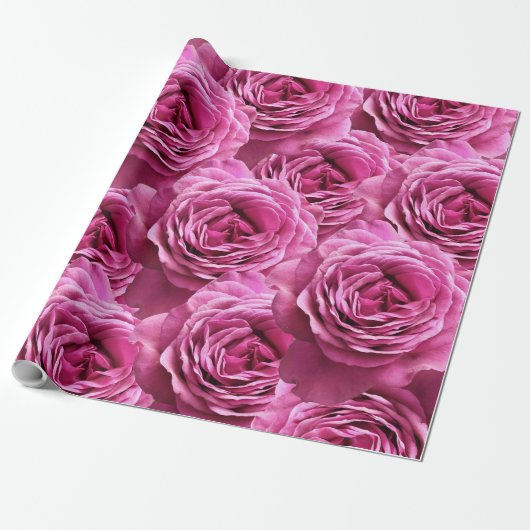 Roze en paarse rozen cadeaupapier (Uitgerold)