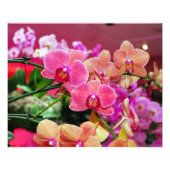 Roze en perzik orchideeën foto print foto afdruk (Voorkant)