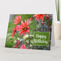 Roze en Red Dahlia Flowers Wisley Happy Birthday