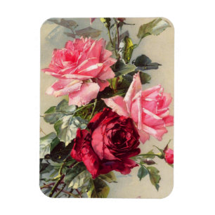  roze en rode rozenmagneet magneet