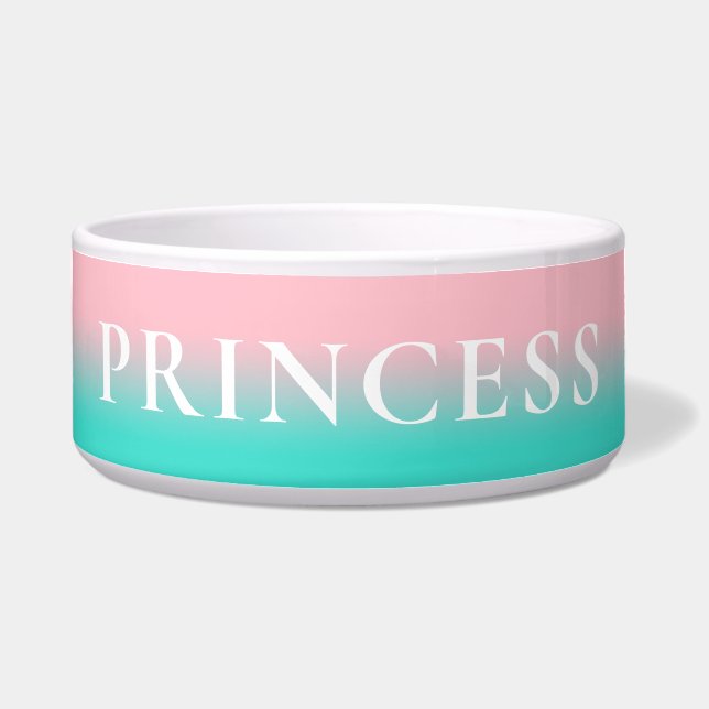 Roze en turquoise ombre voerbakje (Voorkant)