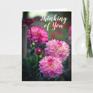 Roze en Wit Dahlia Bloem Denken aan jou Kaart