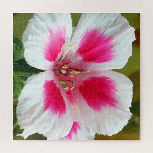 Roze en wit Geranium Jigzaag Puzzle Legpuzzel (Horizontaal)