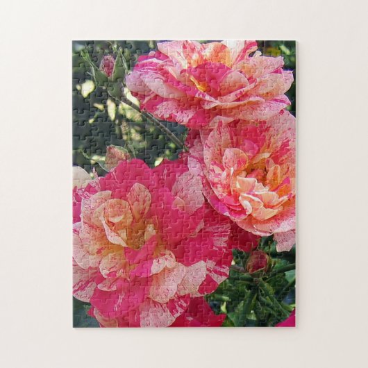 Roze en wit Gestreepte Rozen Bloemenkunst Legpuzzel (Verticaal)