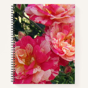 Roze en wit Gestreepte Rozen Bloemenkunst Notitieboek