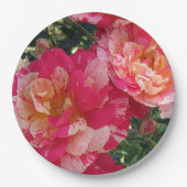 Roze en wit Gestreepte Rozen Bloemenkunst Papieren Bordje (Voorkant)