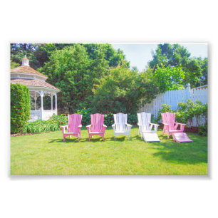Roze en witte Adirondack-stoelen, Wisconsin-tuin Foto Afdruk