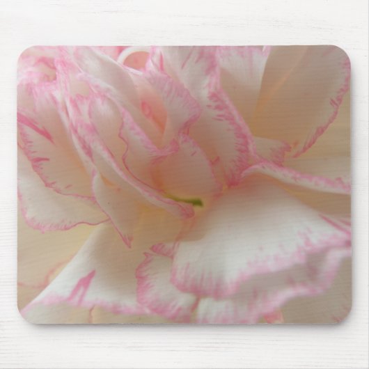 Roze en witte anjer Mousepad Muismat (Voorkant)
