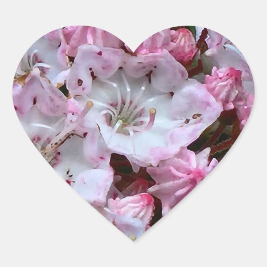 Roze en witte bergLaurel Flowers Hart Sticker (Voorkant)