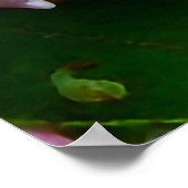 Roze en witte bergLaurel Flowers Poster (Hoek)