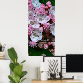 Roze en witte bergLaurel Flowers Poster (Thuiskantoor)