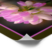 Roze en witte bloem close-up Abstract Poster (Hoek)