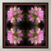 Roze en witte bloem close-up Abstract Poster (Voorkant)