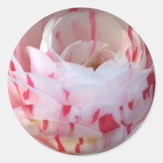 Roze en Witte Bloemen Ronde Sticker (Voorkant)