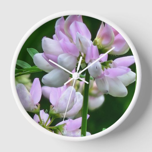 Roze en witte bloemknoppen (Voorkant)
