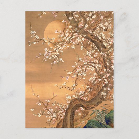 Roze en witte bloesems in Moonlight, Shizan Briefkaart (Voorkant)