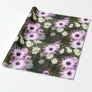 Roze en Witte Dagen Daisy flower Wrapping Cadeaupapier