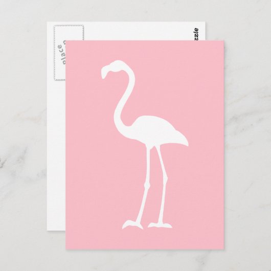 Roze en witte flamingo briefkaart (Voorkant / Achterkant)