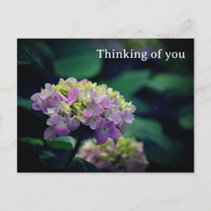 Roze en witte Hydrangea Bloem Denken aan jou Briefkaart
