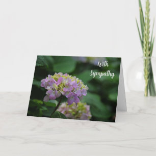 Roze en Witte Hydrangea Bloemen Met Sympathie Kaart