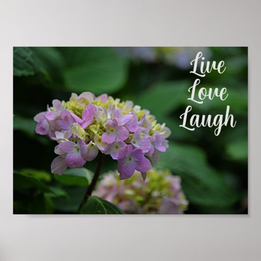 Roze en witte Hydrangea Flowers Motivatie Poster (Voorkant)