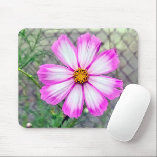 Roze en witte kosmos bloem muismat