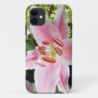 Roze en Witte Lelie Bloem